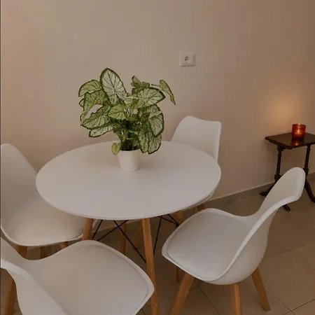 Olive Nest Apartman Tirana